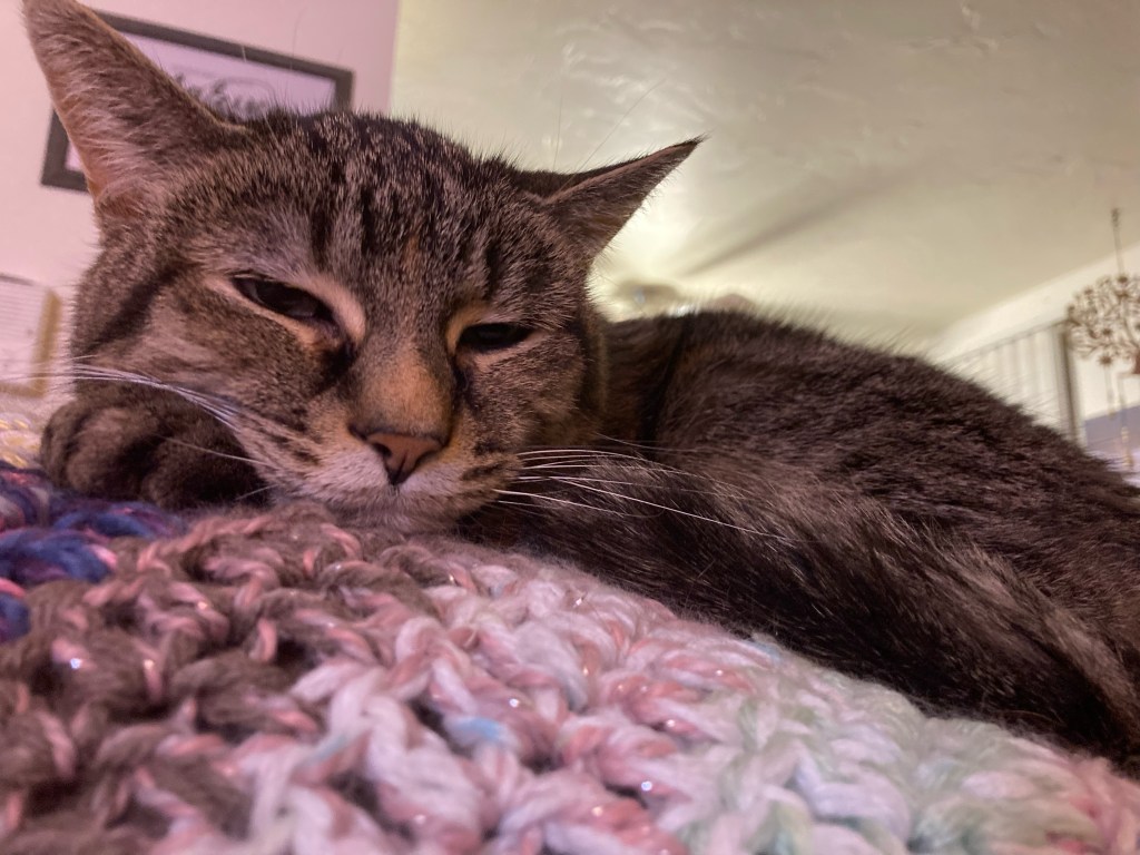 Christmas, Round One