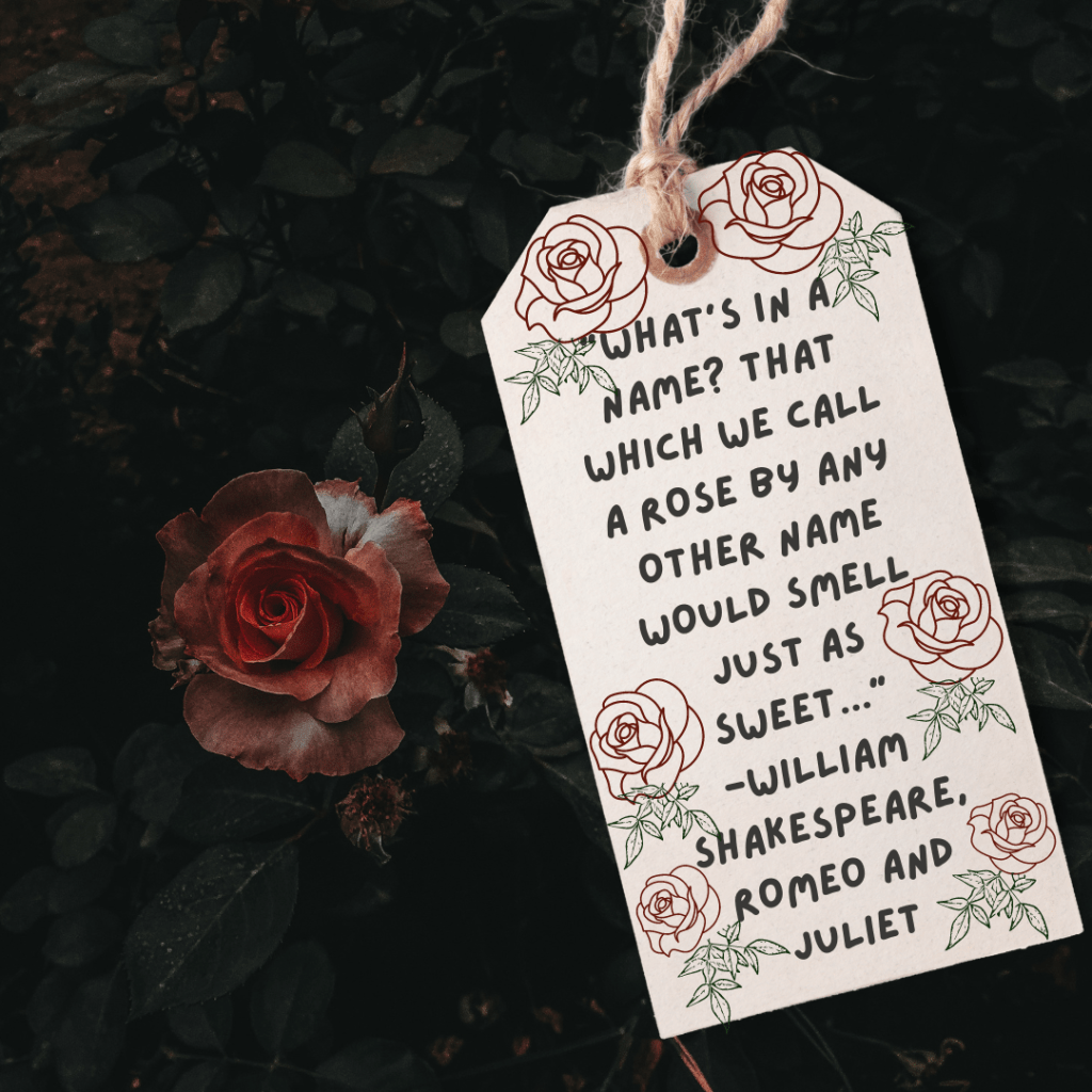 What’s in a&nbsp;name?