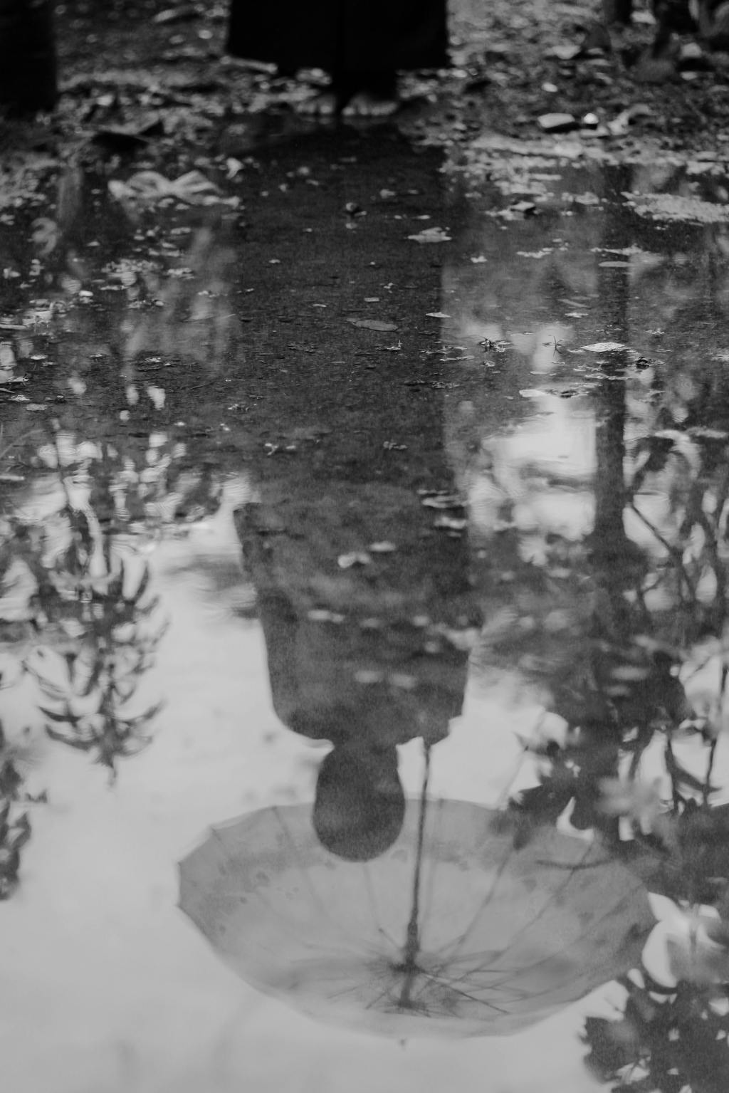 Tears in Rain, and&nbsp;Havensong